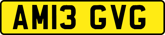 AM13GVG