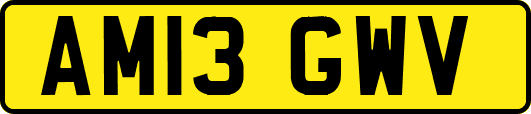AM13GWV