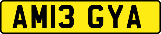 AM13GYA