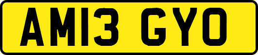 AM13GYO