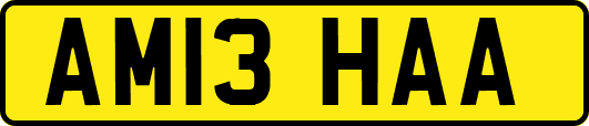AM13HAA