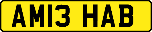 AM13HAB