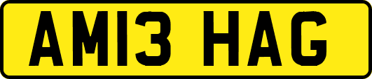 AM13HAG