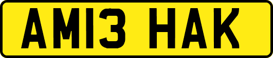 AM13HAK