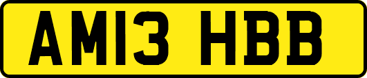 AM13HBB
