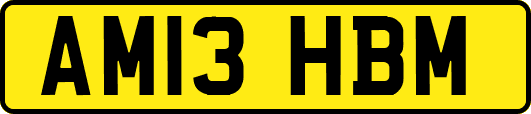 AM13HBM