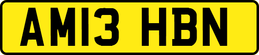 AM13HBN