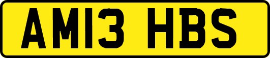 AM13HBS