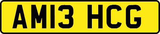 AM13HCG