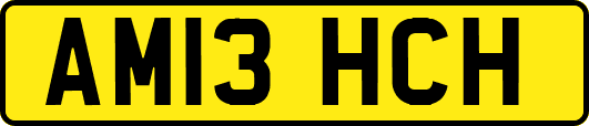 AM13HCH