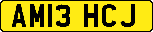 AM13HCJ