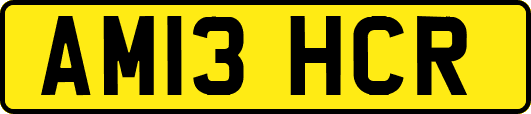 AM13HCR