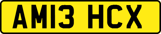 AM13HCX