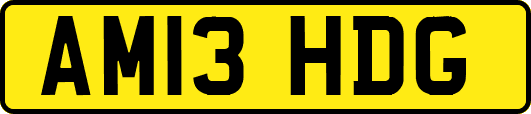 AM13HDG