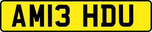 AM13HDU