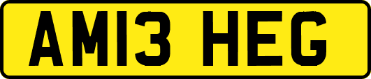 AM13HEG