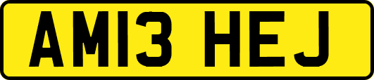 AM13HEJ
