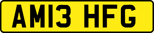 AM13HFG