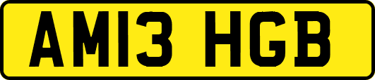AM13HGB