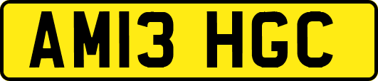 AM13HGC