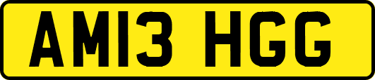 AM13HGG