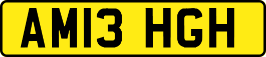AM13HGH