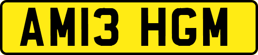 AM13HGM