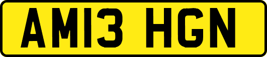 AM13HGN