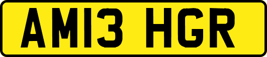 AM13HGR