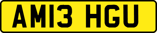 AM13HGU