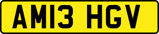 AM13HGV