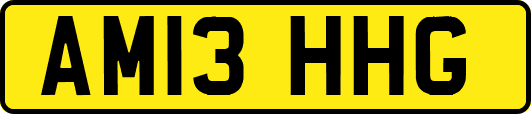 AM13HHG