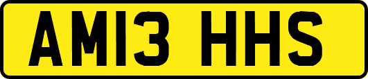 AM13HHS