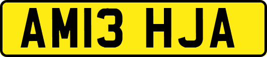 AM13HJA