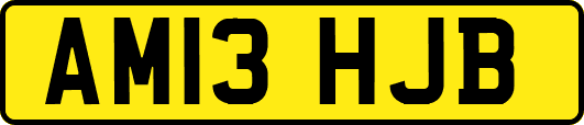 AM13HJB