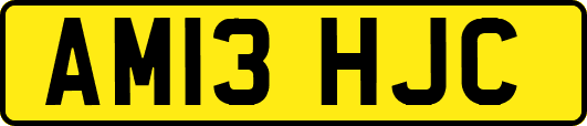 AM13HJC