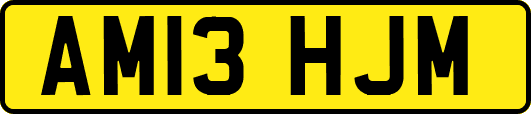 AM13HJM