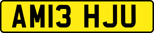 AM13HJU