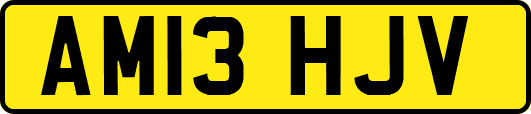 AM13HJV