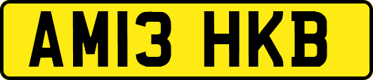 AM13HKB