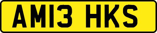 AM13HKS