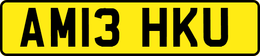 AM13HKU