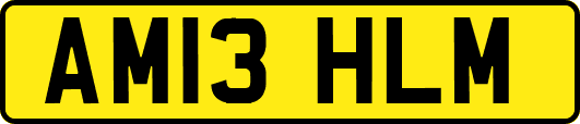 AM13HLM