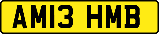 AM13HMB