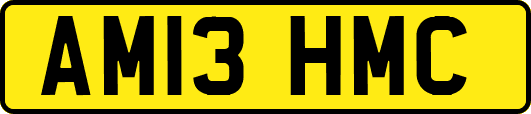 AM13HMC