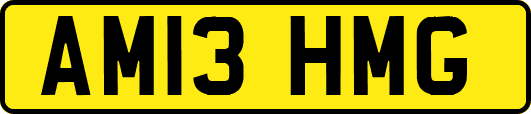 AM13HMG