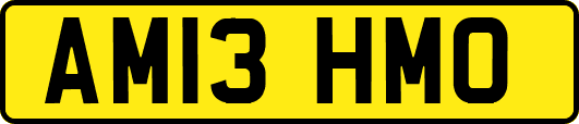 AM13HMO
