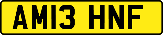AM13HNF