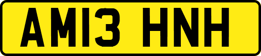 AM13HNH