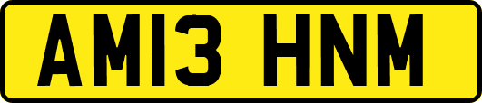AM13HNM